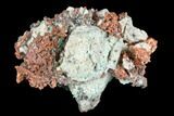 Natural Native Copper Formation - Bagdad Mine, Arizona #178047-1